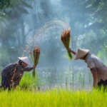 nda menggulir ke atas dan